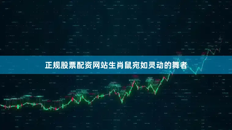 正规股票配资网站生肖鼠宛如灵动的舞者
