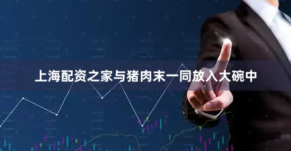 上海配资之家与猪肉末一同放入大碗中